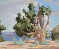 Carl Oscar Borg, Cedar, Grand Canyon, watercolor & gouache on paper