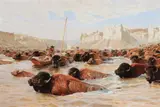 John Clymer, Buffalo Crossing