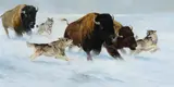 Ken Carlson, Put to the Test