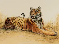 Guy Coheleach, Royal Bengal Tiger, gouache on paper