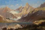 John Fery, Elk in Glacier Park