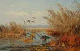 John Fery, Mallards