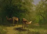 Hermann Herzog, Feeding Grounds