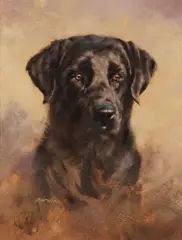 Eldridge Hardie, Black Lab, oil on board
