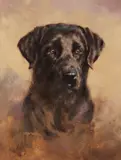 Eldridge Hardie, Black Lab, oil on board