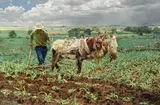Clark Hulings, Mexican Plowman