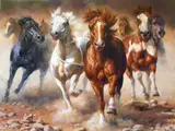 Bonnie Marris, Power of Freedom I