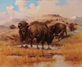 Edgar S. Paxson, Buffalo at a Watering Hole
