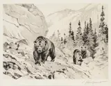 Carl Rungius, Out of the Canyon