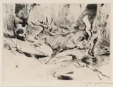 Carl Rungius, White Flag