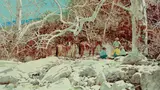 Ross Stefan, Beyond the Santa Rita Range