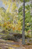 Gunnar Widforss, Forest Landscape