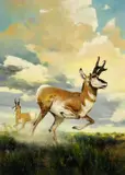 Douglas Allen, Pronghorn Antelope, oil on board