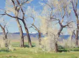 Clyde Aspevig, Cottonwoods
