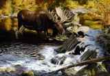 Tom Beecham, Moose and River Otter, oil on board