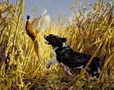 Tom Beecham, Spaniel and Pheasant, oil on board