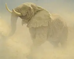 Robert Bateman, Bluffing Bull - African Elephant, 1979, acrylic on board