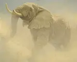 Robert Bateman, Bluffing Bull - African Elephant