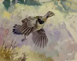 George Browne, Ruffed Grouse