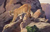 Ken Carlson, Boulder Canyon