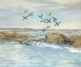 Roland Clark, Visitors