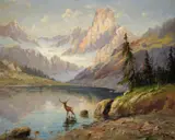 John Fery, Rocky Mountain Elk