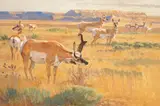 Bob Kuhn, Marking the Territory