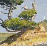 Bob Kuhn, Big Cat Country