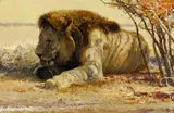 Bob Kuhn, Nomad, acrylic on board