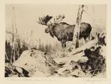 Carl Rungius, Alaskan Wilderness