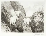 Carl Rungius, Goats