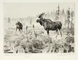 Carl Rungius, Near Long Lake