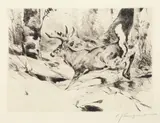 Carl Rungius, White Flag
