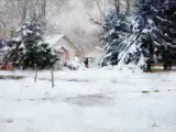 Richard Schmid, Fort Collins - Winter