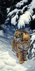John Seerey-Lester, Under the Pine - Bobcat, 1984, oil on canvas
