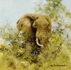 Browsing Elephant by David Shepherd, 1978, oil on canvas, sold Jul 2010