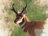 Tucker Smith, Pronghorn, 2008, oil on canvas laid on board