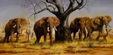 Gary Swanson, Bulls of Tsavo, 1983, oil on canvas
