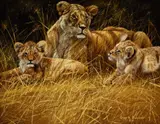 Gary Swanson, Lioness and Cubs