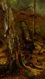 Arthur Fitzwilliam Tait, An Adirondack Forest