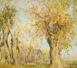 Gunnar Widforss, Arizona Cottonwoods