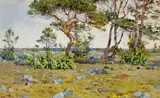 Gunnar Widforss, Coastal Landscape