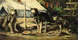 Eustace Paul Ziegler, The Three Brothers