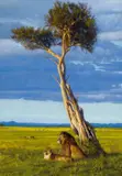 John Banovich, Surveying Their Kingdom, 2008, oil on canvas