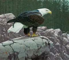 Eagle by Guy Coheleach, oil on board, sold Jul 2009