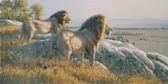 Serengeti Bachelors by Guy Coheleach, 2009, oil on canvas, sold Jul 2009