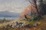 John Fery, Elk in Fall Landscape
