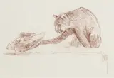 Bob Kuhn, Mountain Lion and Rabbit, conte on paper