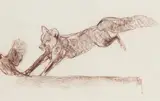 Bob Kuhn, Fox and Grouse, conte on paper