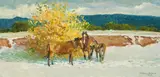 Robert Lougheed, Early Snow